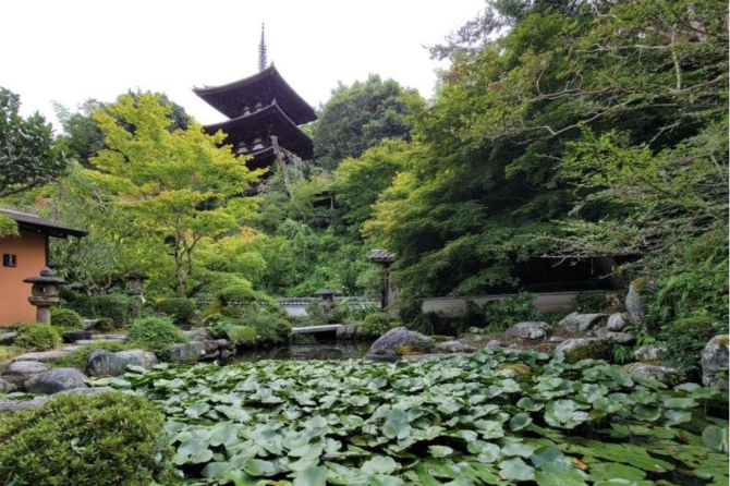 當麻寺初公開の村上裕二障壁画「龍游図」を拝観 写仏・お抹茶体験で大人の休息を 奈良ホテルプラス『當麻寺 ご案内ツアー付き宿泊プラン ～朝食付～』について