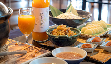 Hotel Granvia Wakayama