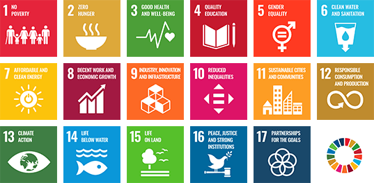 The Sustainable Development Goals (SDGs) logo, including the colour wheel and 17 icon